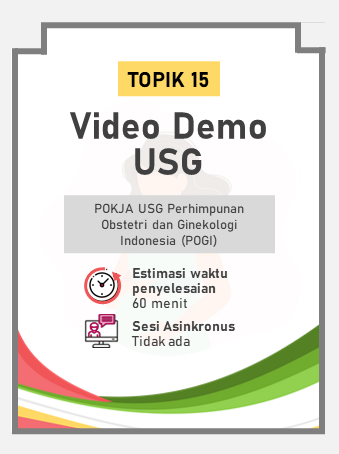 Video Demo USG